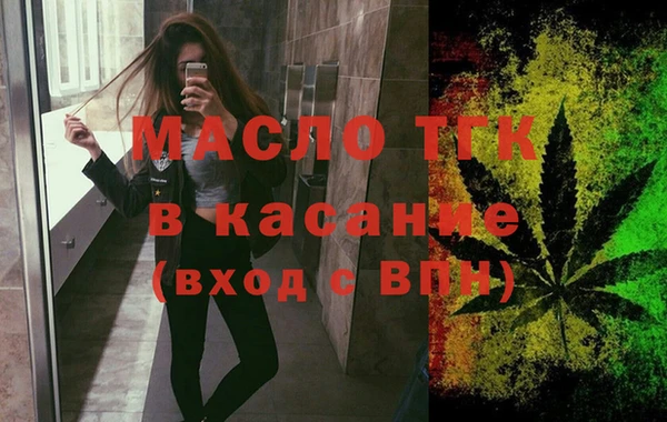 гашик Инта